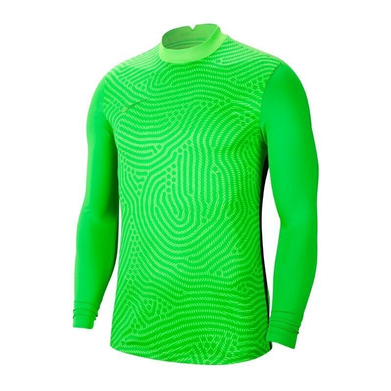 Poiste spordisärk Nike Gardien III GK LS BV6743-398 (54497) цена и информация | Poiste särgid | kaup24.ee