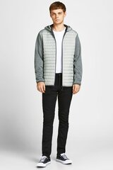 Meeste jope Jack & Jones 12182242GHOSTGRAY-L цена и информация | Мужские куртки | kaup24.ee