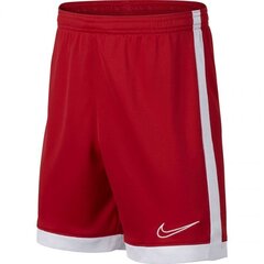 Laste lühikesed spordipüksid Nike B Dry Academy Jr AO0771 657 hind ja info | Poiste lühikesed püksid | kaup24.ee