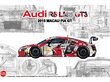 NuNu - Audi R8 LMS GT3 2015 FIA GT3 World Cup, 1/24. 24028 цена и информация | Klotsid ja konstruktorid | kaup24.ee