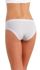 Naiste aluspüksid Slip art.509 bianco (karp) hind ja info | Naiste aluspüksid | kaup24.ee