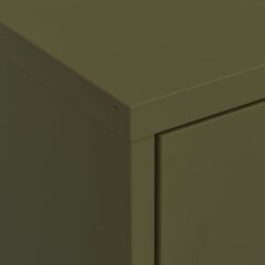 vidaXL hoiukapp, oliivroheline, 80 x 35 x 101,5 cm, teras hind ja info | Elutoa väikesed kapid | kaup24.ee