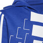 Laste Dressipluus Adidas Essentials Logo K Sinine S6433278 hind ja info | Poiste kampsunid, vestid ja jakid | kaup24.ee