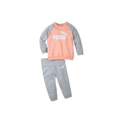 Комплект для детей Puma Minicats Essentials Raglan Jogger Junior Tracksuit 584861 26 цена и информация | Шорты для мальчиков | kaup24.ee