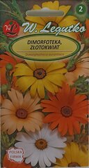 Диморфотека, 2 шт. цена и информация | Зайцехвост яйцевидный | kaup24.ee