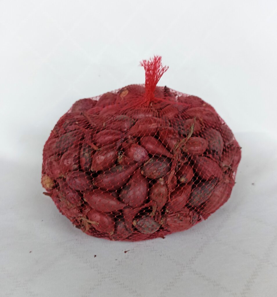 Sibul “Red baron”, 1 kg hind ja info | Köögivilja-, marjaseemned | kaup24.ee