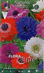 Анемона , красная, белая, 30 шт. цена и информация | Луковицы цветов | kaup24.ee