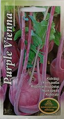 Кольраби Purple Vienna, 2 шт цена и информация | Семена овощей, ягод | kaup24.ee