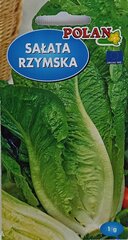 Римский салат, 2 шт. цена и информация | Семена овощей, ягод | kaup24.ee