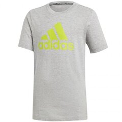 Спортивная футболка для мальчиков Adidas 75207 цена и информация | Рубашки для мальчиков | kaup24.ee