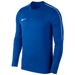 Meeste Dressipluus Nike, sinine XL hind ja info | Meeste pusad | kaup24.ee