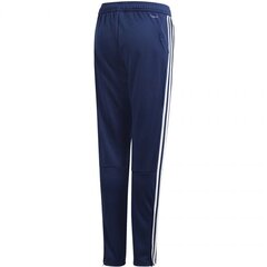 Спортивные штаны детские Adidas Tiro 19 Training Junior DT5177, синий (45748) цена и информация | Шорты для мальчиков | kaup24.ee