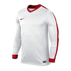 Спортивная футболка для мальчиков Nike JR Striker Dri Fit IV Jr 725977-101 (47723) цена и информация | Рубашки для мальчиков | kaup24.ee