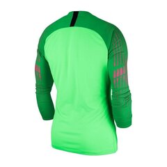 Poiste spordisärk Nike JR Gardien II GK LS JR 898046-398, 47980, roheline hind ja info | Poiste särgid | kaup24.ee