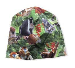 Демиcезонная хлопковая шапка цена и информация | Шапки, перчатки, шарфы для мальчиков | kaup24.ee