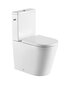 WC-pott WC Swiss Aqua Technologies Brevis Rimfree, koos aeglaselt sulguva kaanega, täielikult tarnitud цена и информация | WС-potid | kaup24.ee