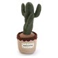 Ukse kaitse Bigbuy Home Cactus hind ja info | Laste ohutustarvikud | kaup24.ee