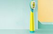 Elektrilise hambaharja komplekt FairyWill Sonic Family (3 tk) koos nsu komplektiga hind ja info | Elektrilised hambaharjad | kaup24.ee