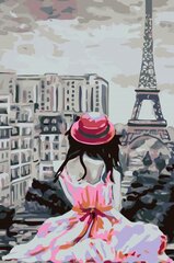 Maalid numbrite järgi "Paris and pink dress", 40 x 60, KTMK-270299G цена и информация | Живопись по номерам | kaup24.ee