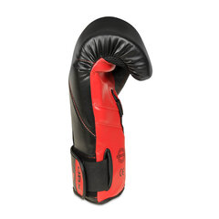 Боксерские перчатки Bushido B-2v15 12oz цена и информация | Боевые искусства | kaup24.ee