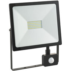 LED Floodsensor valgusti 50W 4000-4500K - цена и информация | Люстры | kaup24.ee
