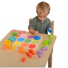 Arendav värvimäng hind ja info | Arendavad mänguasjad | kaup24.ee