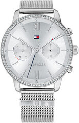 Tommy Hilfiger женские часы 1782301, цвет серебра цена и информация | Женские часы | kaup24.ee
