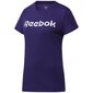 Naiste T-särk Reebok Training Essential Graphic Tee Reebok Read W GI6646, lilla цена и информация | Naiste spordiriided | kaup24.ee