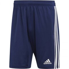Спортивные шорты для мужчин Adidas Tiro 19 Training Short цена и информация | Мужская спортивная одежда | kaup24.ee