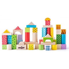 Woody 90906 Деревянные развивающие цветные кубики различных геометрических форм для построение (50шт.) в сортировочном ведре для детей от 1 года + цена и информация | Конструкторы и кубики | kaup24.ee