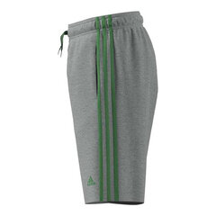 Poiste lühikesed spordipüksid B 3S SHO Adidas GN7025 hind ja info | Poiste lühikesed püksid | kaup24.ee