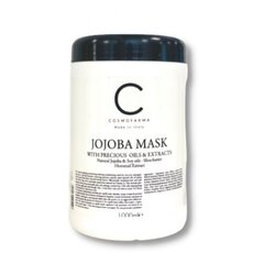 Taastav juuksemask Cosmofarma Joniline 1000 ml hind ja info | Cosmofarma Kosmeetika, parfüümid | kaup24.ee