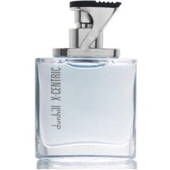 Tualettvesi Dunhill London X Centric EDT meestele, 100 ml hind ja info | Dunhill Kosmeetika, parfüümid | kaup24.ee