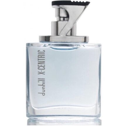 Tualettvesi Dunhill London X Centric EDT meestele, 100 ml цена и информация | Meeste parfüümid | kaup24.ee