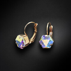 Naiste kõrvarõngad Diamond Sky „Kaleidoscope (Aurore Boreale)“ koos Swarovski kristallidega DS02A225 hind ja info | Kõrvarõngad | kaup24.ee