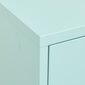vidaXL hoiukapp, mündiroheline, 80 x 35 x 101,5 cm, teras hind ja info | Elutoa väikesed kapid | kaup24.ee