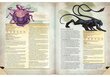 Dungeons & Dragons Monster Manual 5th väljaanne цена и информация | Lauamängud ja mõistatused | kaup24.ee