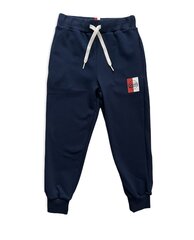 Спортивные штаны для мальчиков цена и информация | Шорты для мальчиков | kaup24.ee