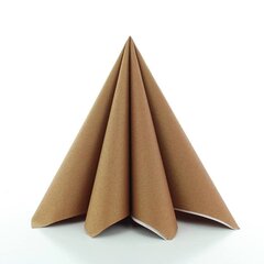 Salvrätikud Linclass® Airlaid Bronze 40x40 cm, 12 tk. цена и информация | Скатерти, салфетки | kaup24.ee