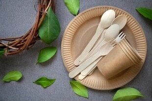 Многоразовые ножи Go Green, 10 шт. цена и информация | Праздничная одноразовая посуда | kaup24.ee