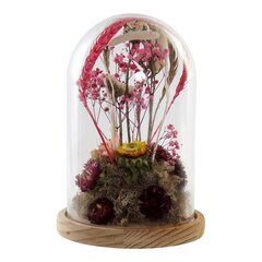 Фигурка DKD Home Decor, 17x17x26 см цена и информация | Детали интерьера | kaup24.ee