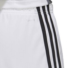 Meeste lühikesed püksid Adidas, valge hind ja info | Meeste spordiriided | kaup24.ee