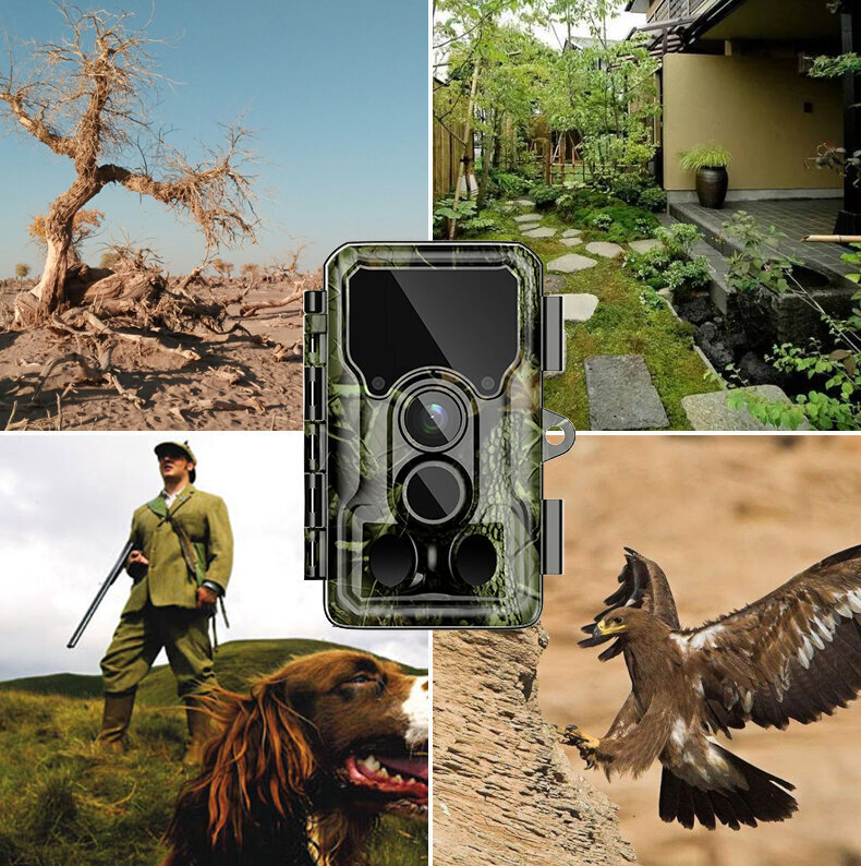 Sjcam M50 woodland green hind ja info | Seikluskaamerad | kaup24.ee