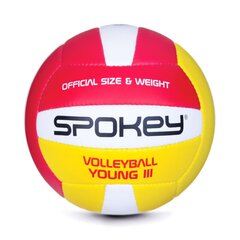 Võrkpall Spokey Young II, kollane/punane/valge hind ja info | Võrkpalli pallid | kaup24.ee
