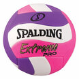 Spalding Võrkpalli pallid internetist