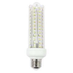 LED lambid LED E27 T3 23W 4000K цена и информация | Лампочки | kaup24.ee