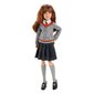 Nukk Harry Potter Chamber of Secrets Hermione Granger цена и информация | Tüdrukute mänguasjad | kaup24.ee