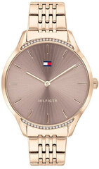 Tommy Hilfiger Gray TH1782212 цена и информация | Женские часы | kaup24.ee