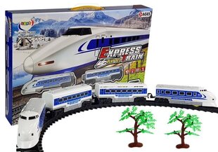 Rööbastega rong "Express Train" цена и информация | Игрушки для мальчиков | kaup24.ee