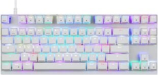 Motospeed CK82 TKL RGB цена и информация | Клавиатура с игровой мышью 3GO COMBODRILEW2 USB ES | kaup24.ee